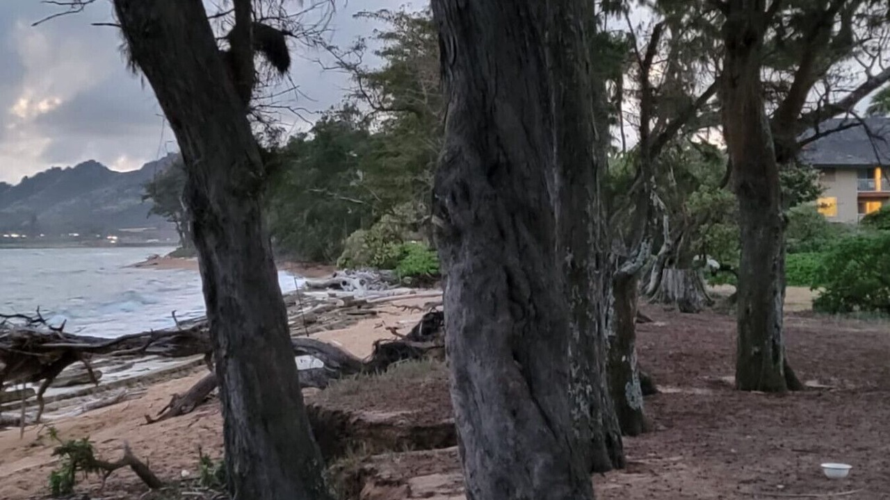 Photo of Others in Wailua