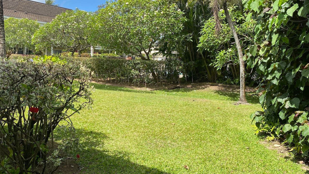 Photo of Outdoor in Wailua