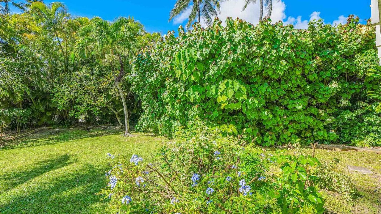 Photo of Outdoor in Wailua