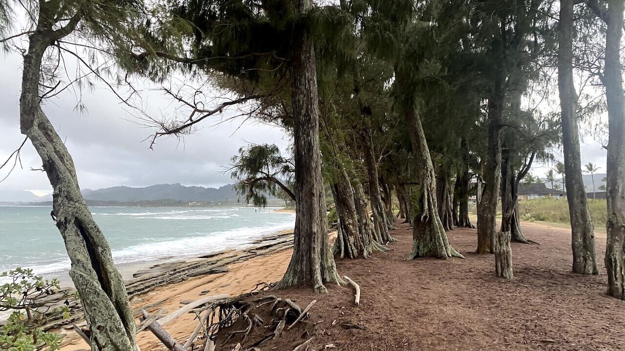 Photo of Others in Wailua