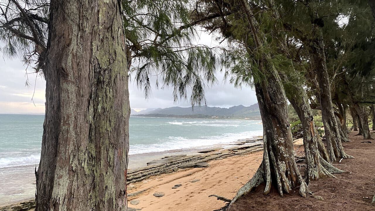 Photo of Others in Wailua