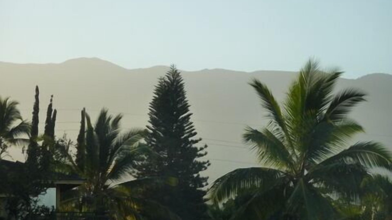 Photo of Others in Kihei