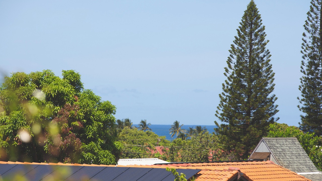 Photo of Outdoor in Kihei