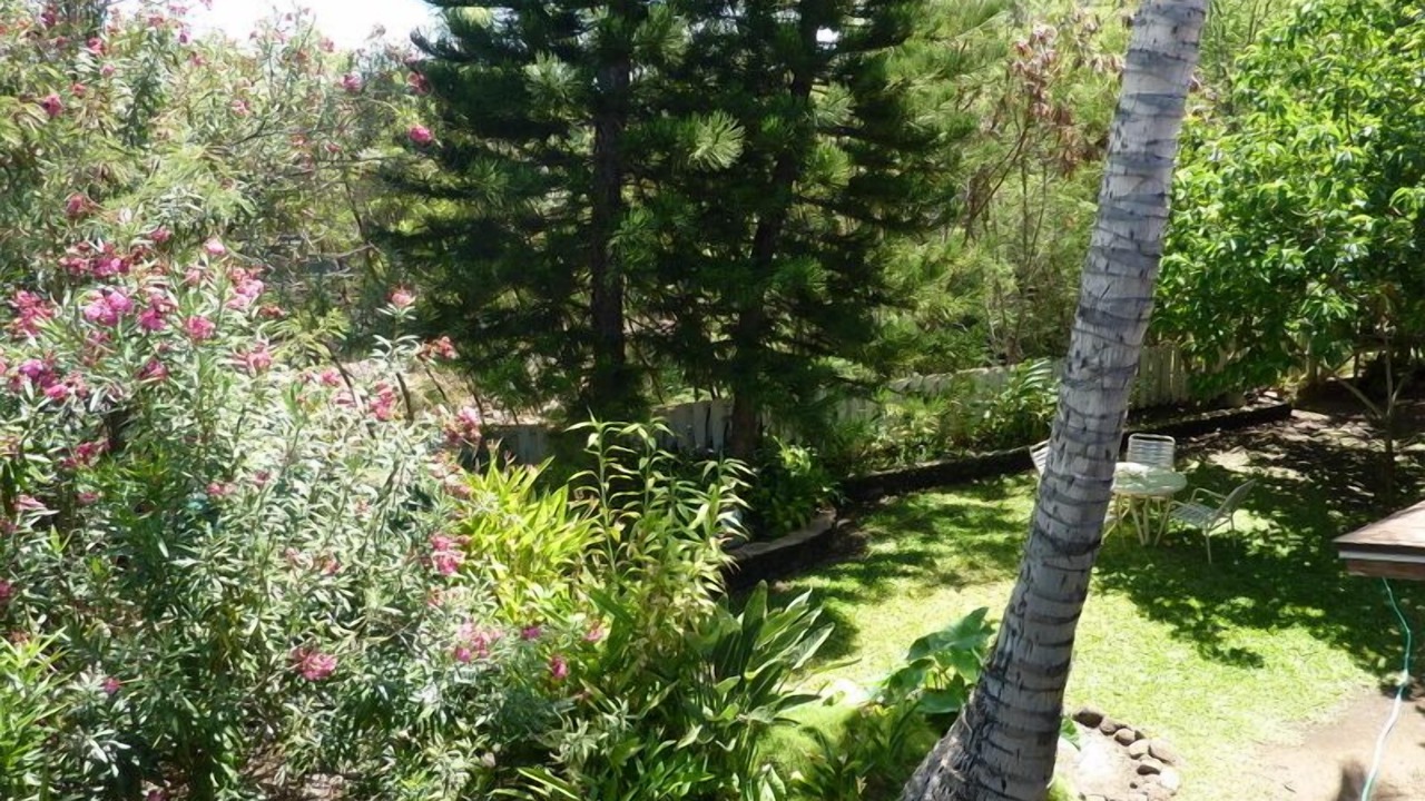 Photo of Others in Kihei