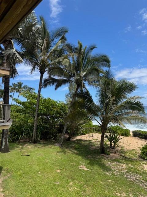 Photo of Others in Wainiha