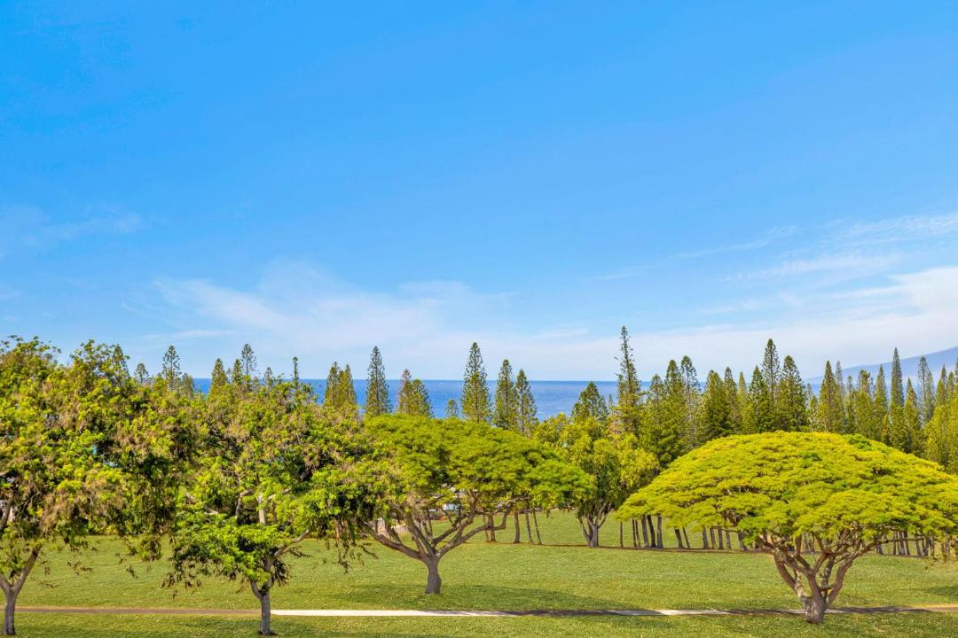 Photo of Others in Kapalua