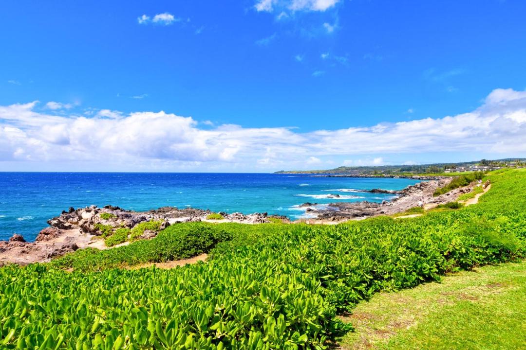 Photo of Others in Napili
