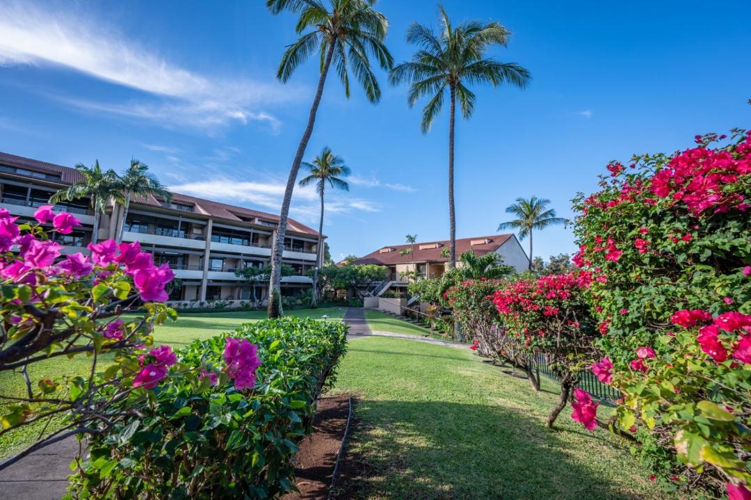 Photo of Others in Kaanapali