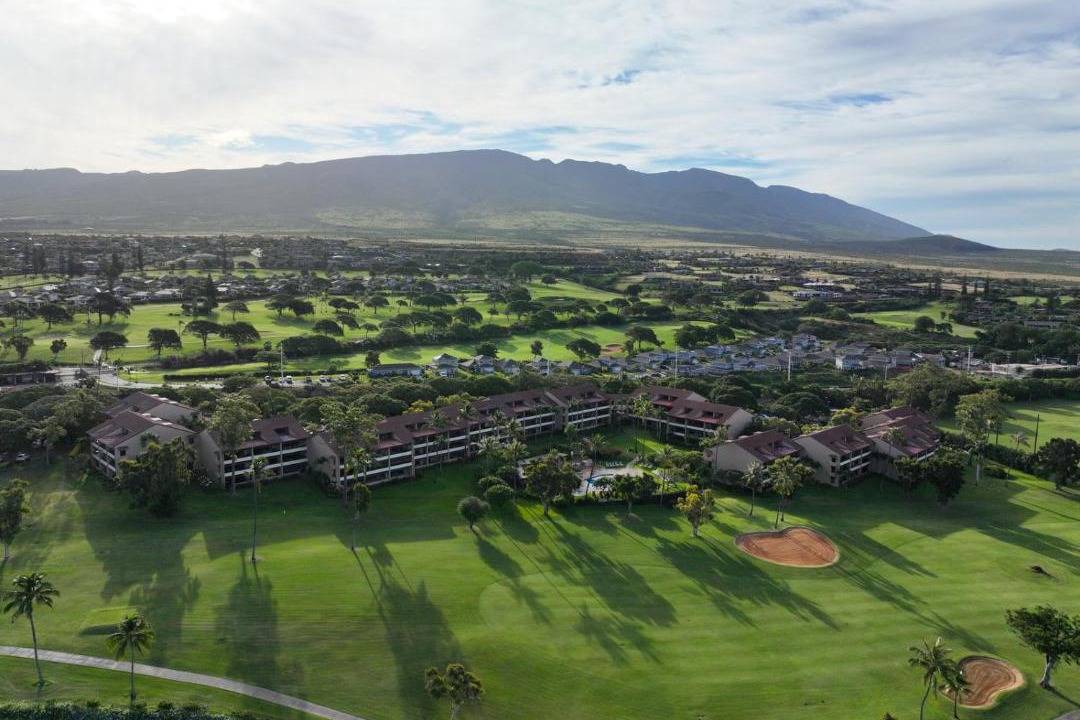 Photo of Others in Kaanapali
