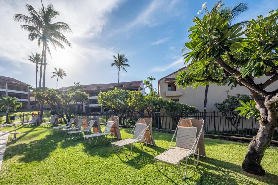 Photo of Others in Kaanapali