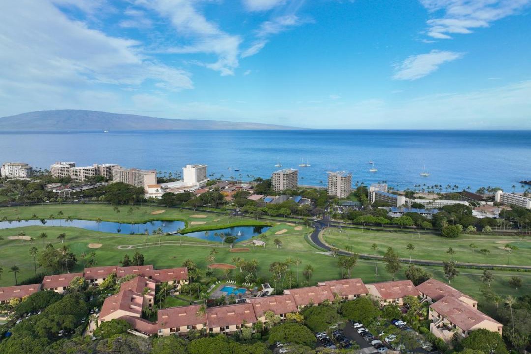 Photo of Others in Kaanapali