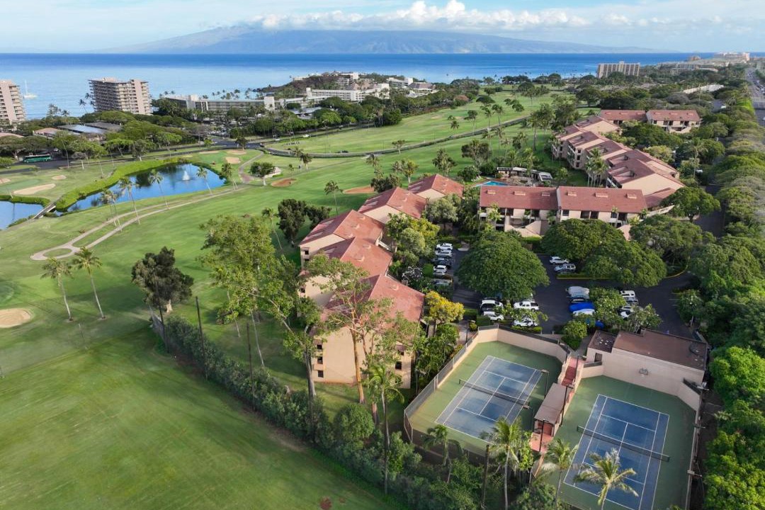 Photo of Others in Kaanapali