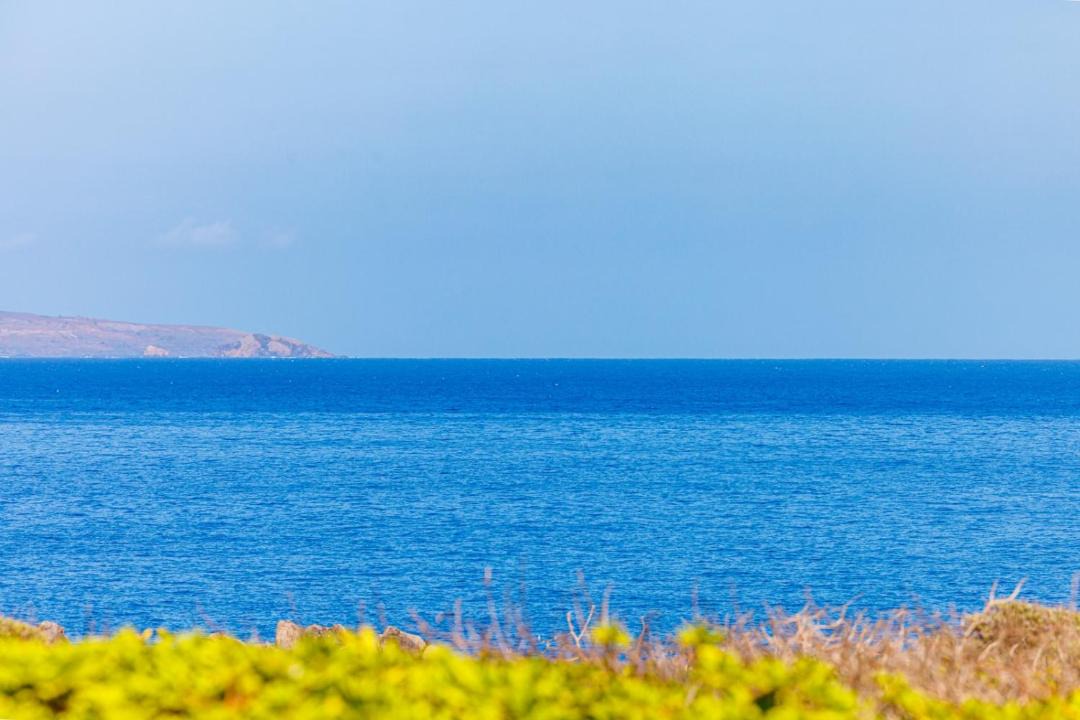 Photo of Others in Napili