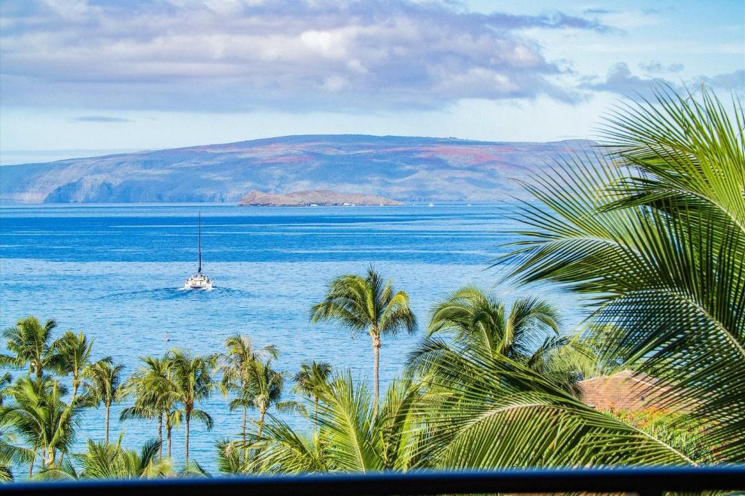Photo of Others in Wailea