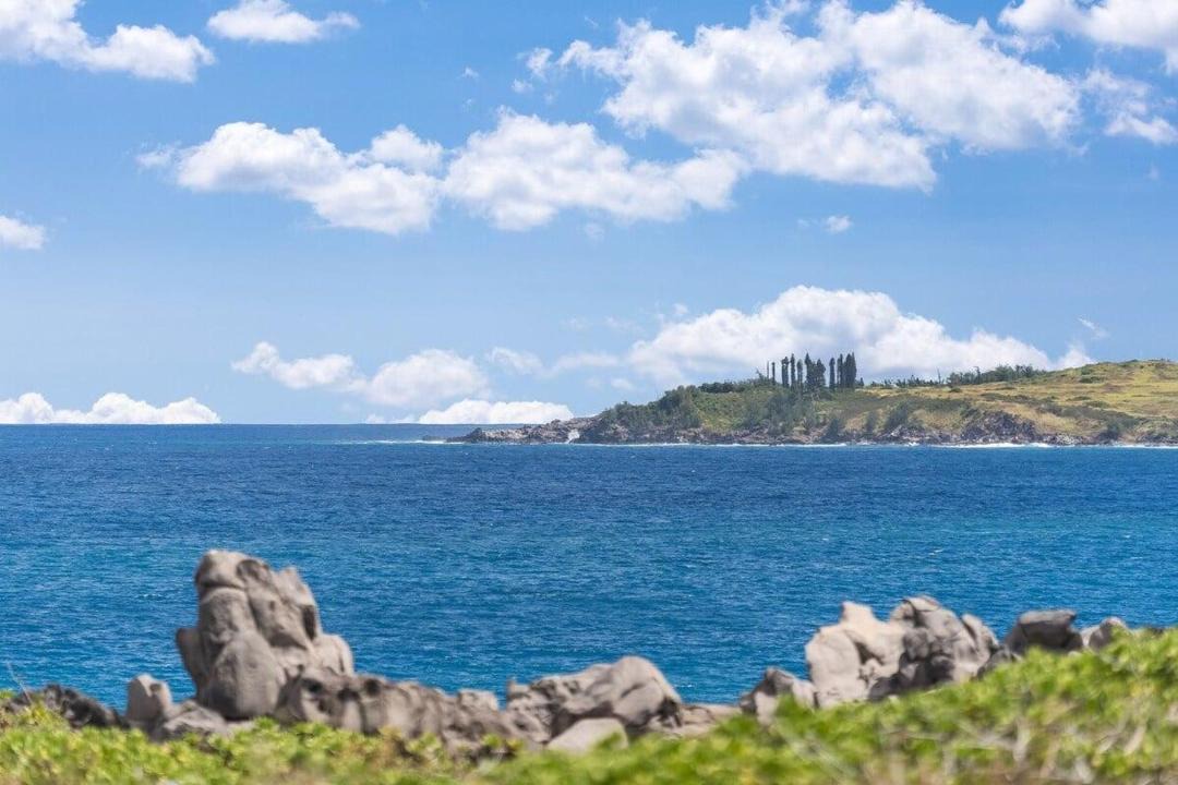 Photo of Others in Napili