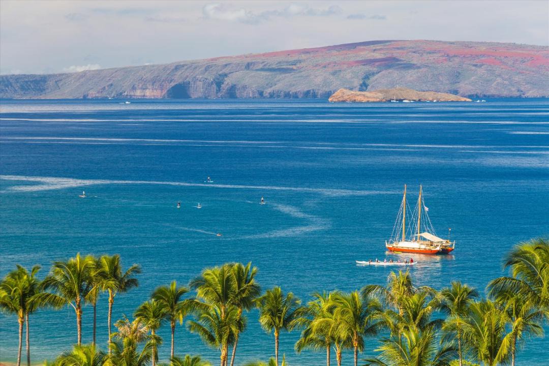 Photo of Others in Wailea