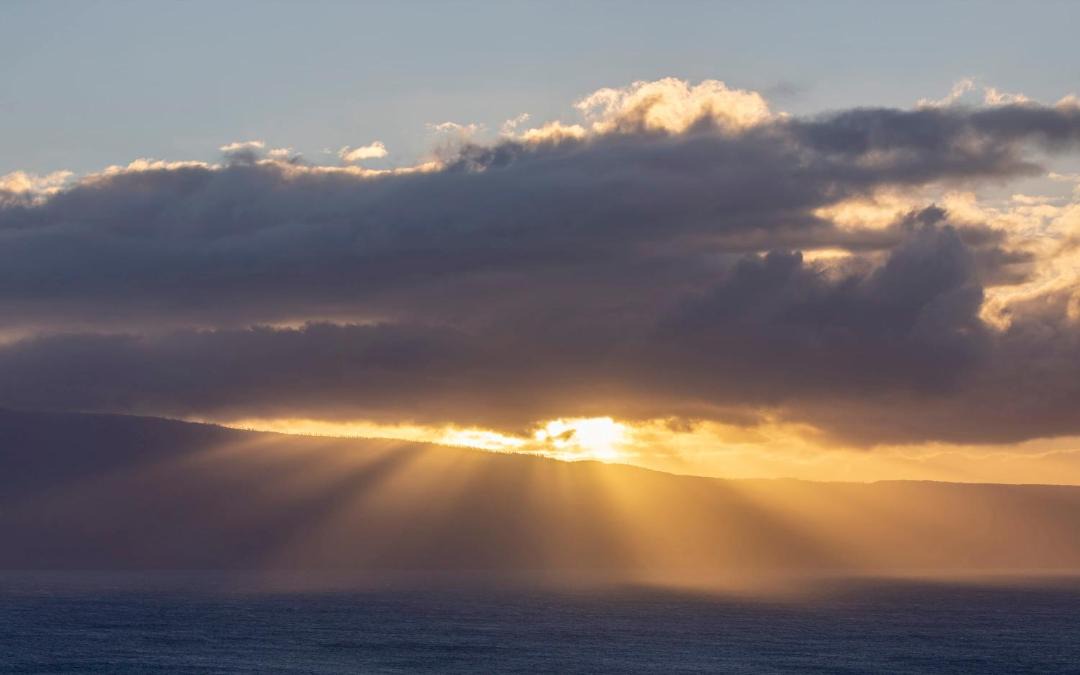 Photo of Others in Kaanapali Hillside