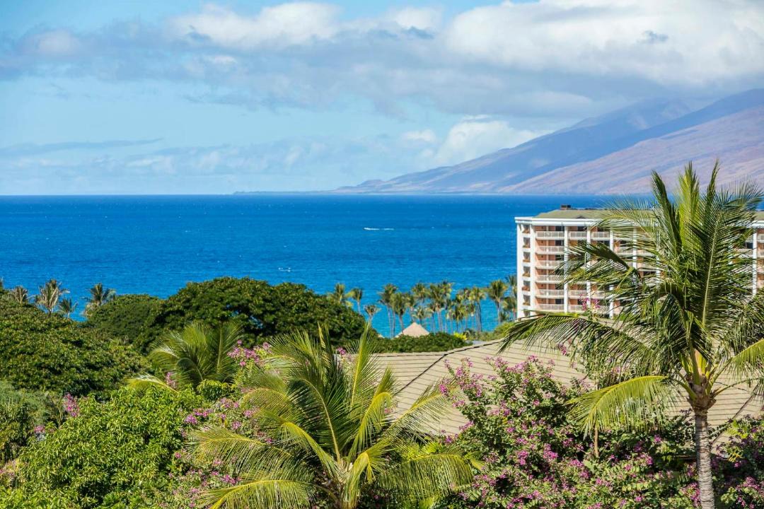 Photo of Others in Wailea