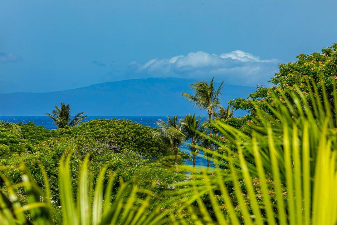 Photo of Others in Wailea