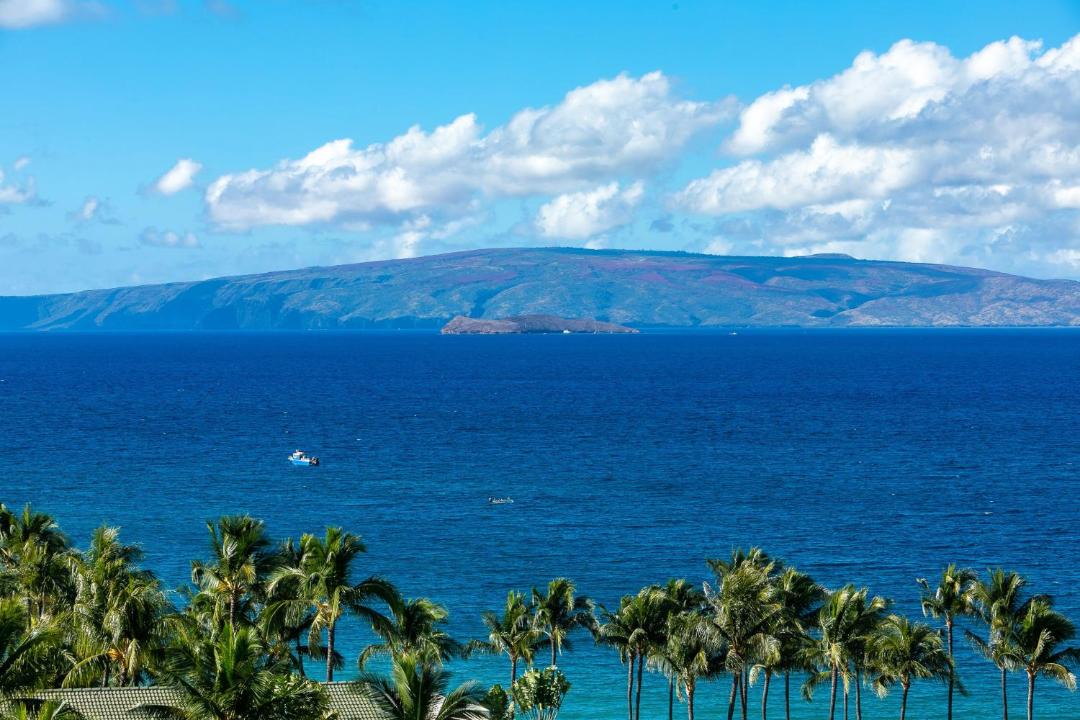 Photo of Others in Wailea