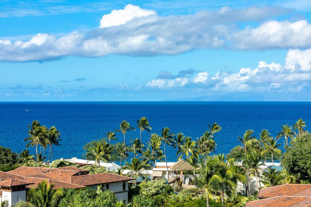 Photo of Others in Wailea
