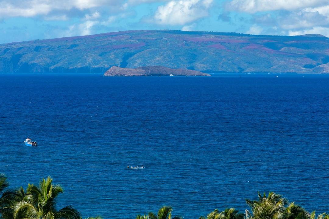 Photo of Others in Wailea