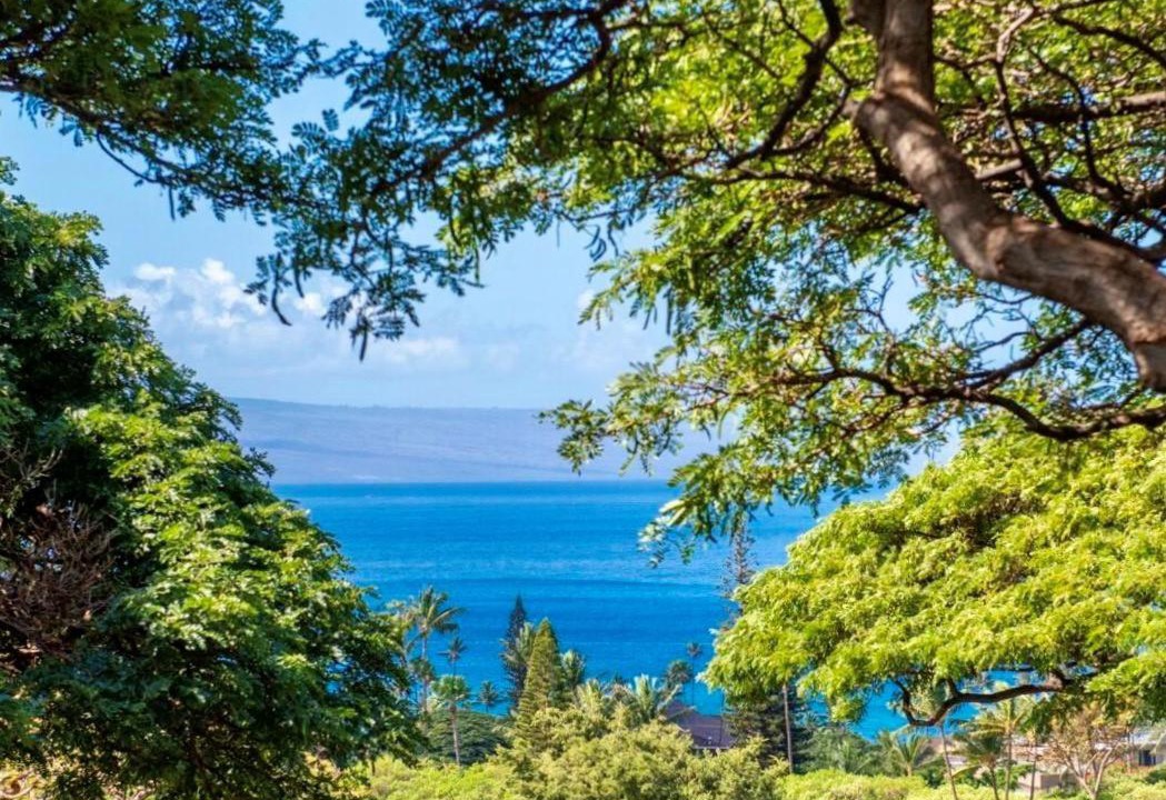 Photo of Others in Kaanapali