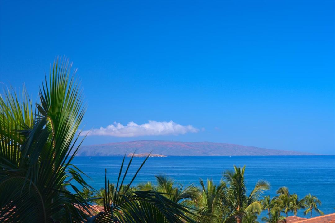 Photo of Others in Wailea