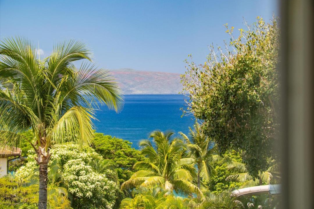 Photo of Others in Wailea