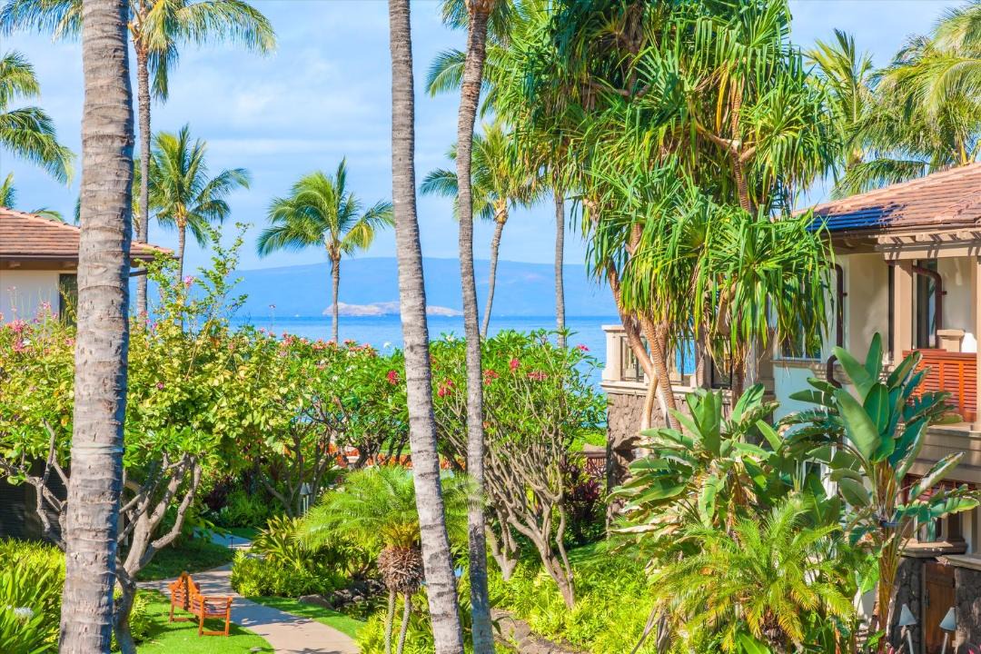 Photo of Others in Wailea