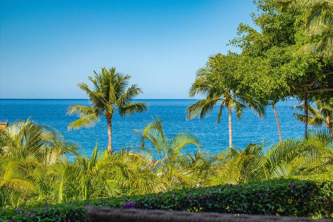Photo of Others in Wailea