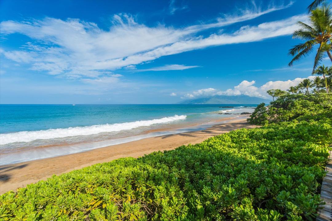 Photo of Others in Wailea