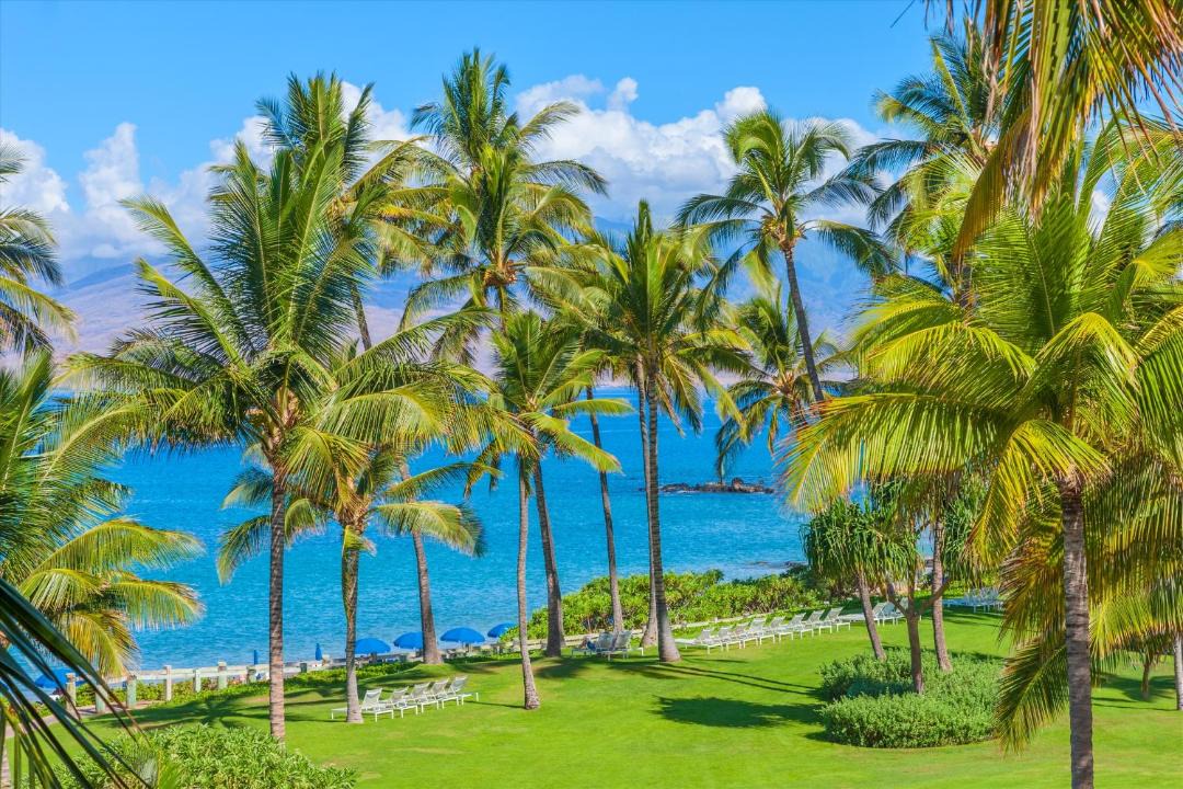 Photo of Others in Wailea