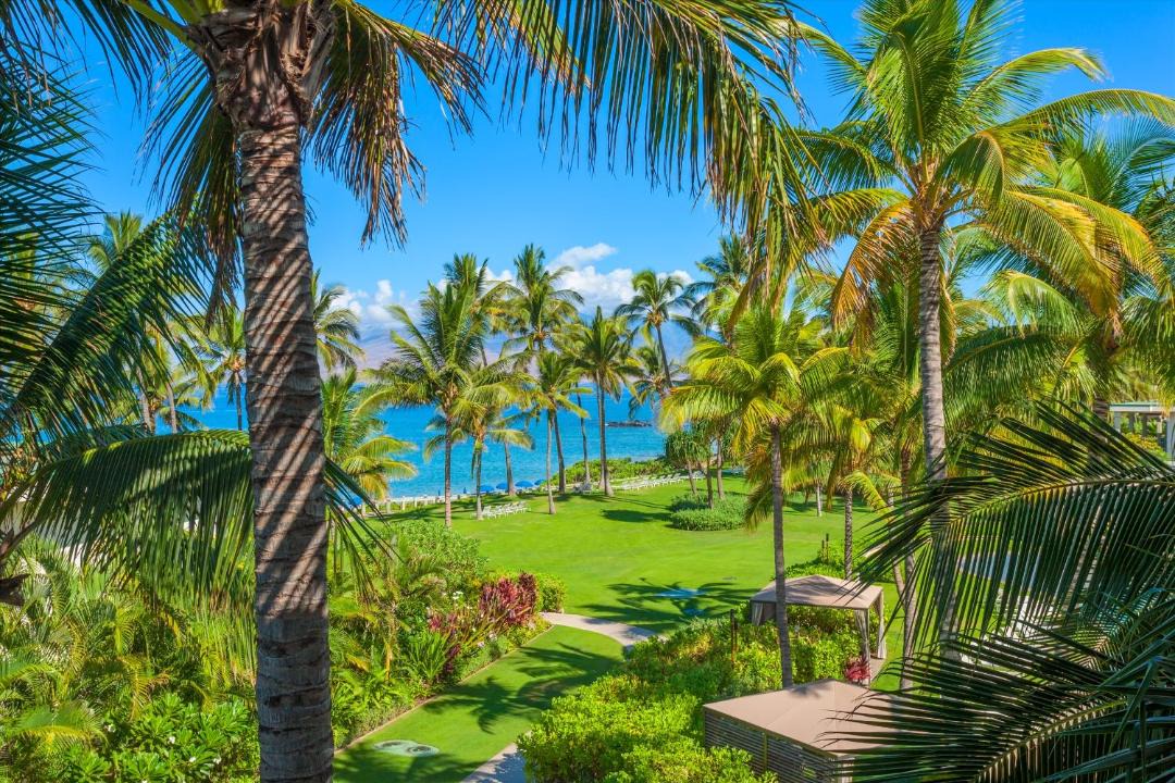 Photo of Others in Wailea