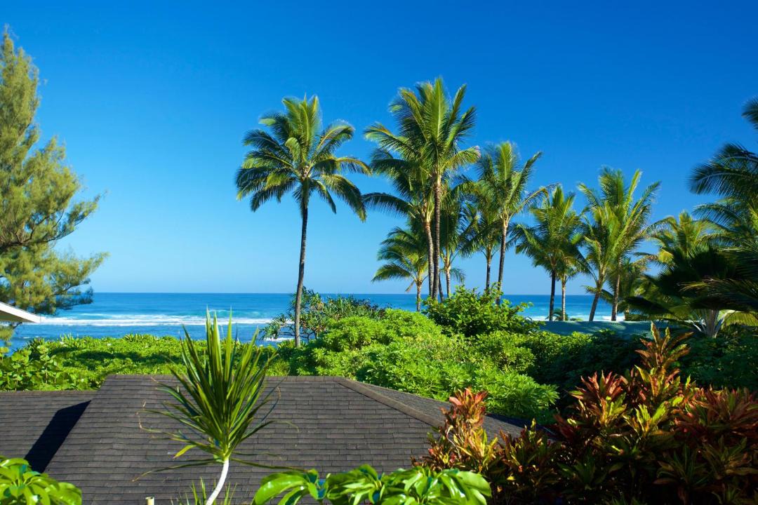 Photo of Others in Wainiha