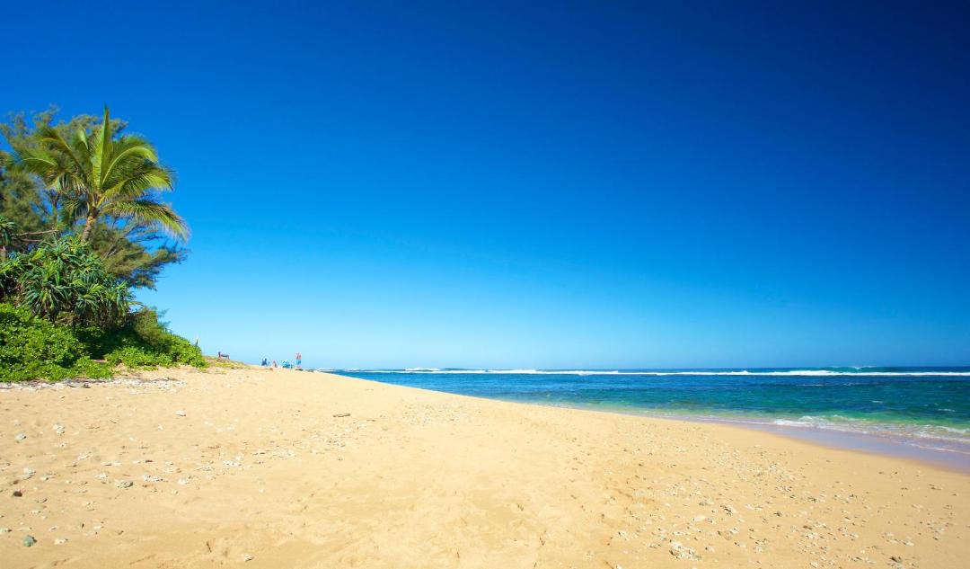 Photo of Others in Wainiha