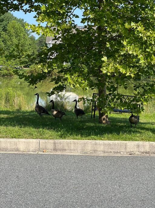 Photo of Others in Newark