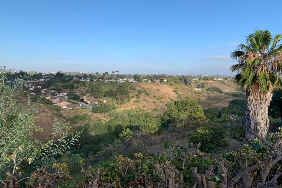 Photo of Others in Clairemont