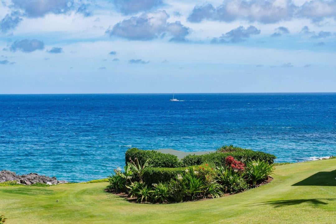 Photo of Others in Kapalua