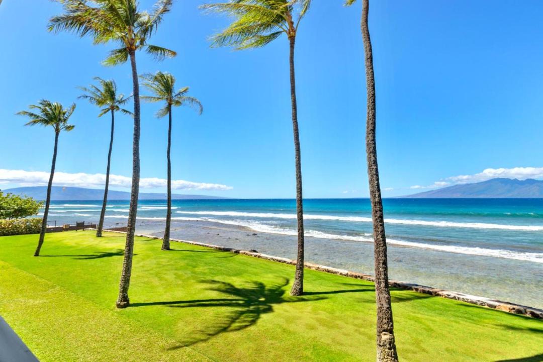 Photo of Others in Napili