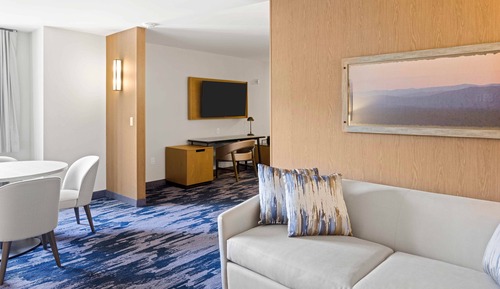 Suite, 1 King Bed with Sofa bed