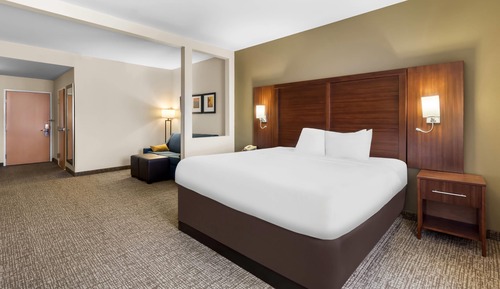 Suite, 1 King Bed with Roll-in Shower