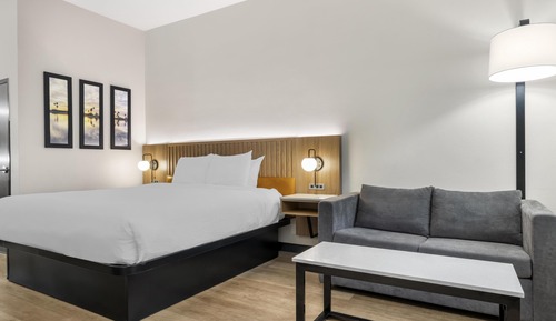 Standard Room, 1 King Bed, Non Smoking (with Single Sofabed)