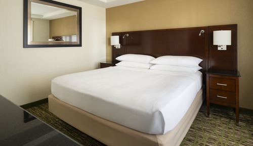 Room, 1 King Bed