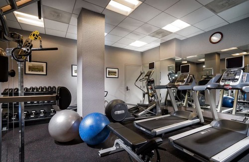 Downtown Chicago Hotel | Delightful Room w/Whimsical Decor & Modern Amenities Near Magnificent Mile