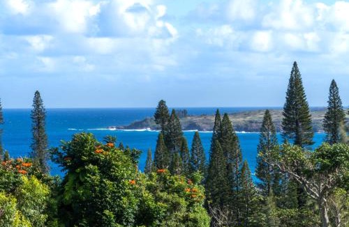 Kapalua Apartment | Kapalua Villas Maui - Select Your Unit