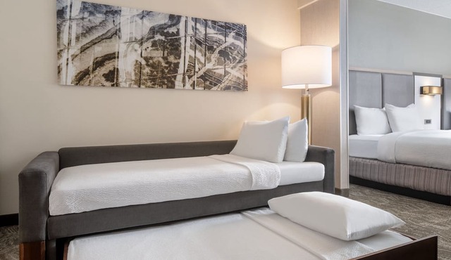 SpringHill Suites by Marriott West Mifflin