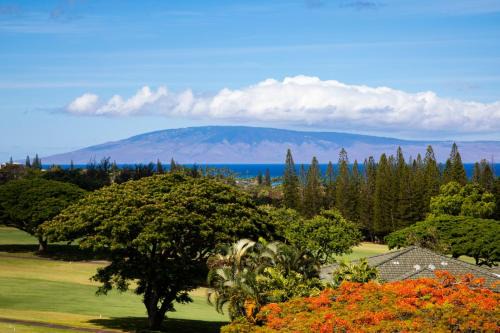 Kapalua Golf Villas Golf View 6 BR Sleeps 19 Complimentary Car with 6 Nights KGV ML-2414 by KBM